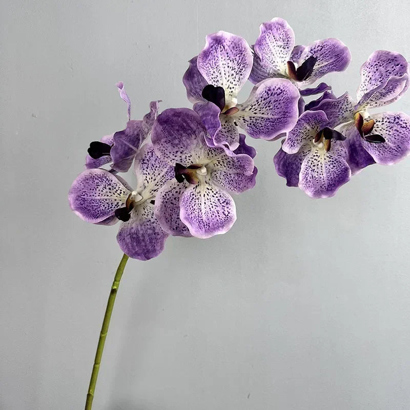 lot de 2 orchidées artificielles vanda pour décoration intérieure