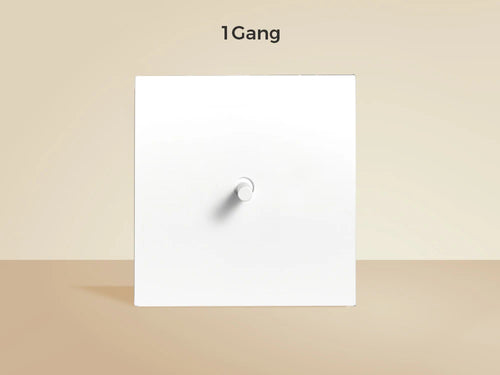 Interrupteur simple 1 voie en acier blanc mat