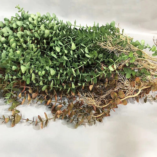 plantes artificielles en rotin pour décoration intérieure et extérieure