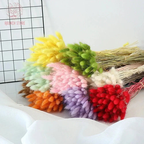bouquet de fleurs séchées queue de lapin pour décorations festives - vue 6 sur 23