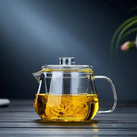 Théière verre borosilicate avec infuseur style moderne