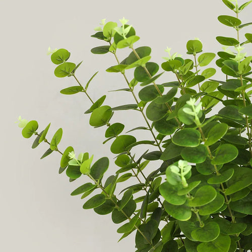 branche d'arbre d'eucalyptus en soie pour décoration intérieure - vue 4 sur 7