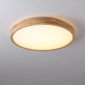 plafonnier led moderne avec télécommande pour intérieur polyvalent