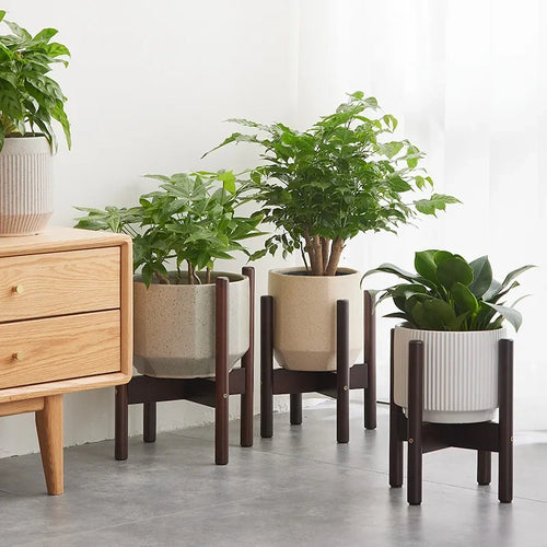support en bois pour plantes et bonsaïs solide et durable - vue 5 sur 14