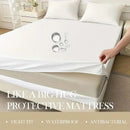 1pc 6-Sides Fully Enclosed Waterproof Mattress Cover With Zipper (Without Pillowcase), Dust-proof Mattress Protector Solid Color