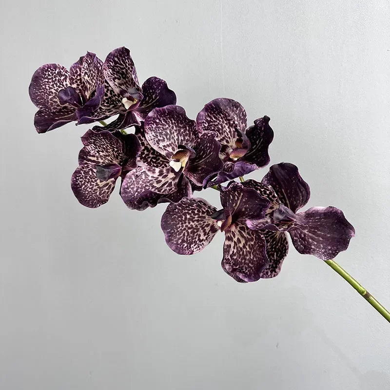 lot de 2 orchidées artificielles vanda pour décoration intérieure