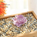 plantes succulentes artificielles décoratives pour un intérieur naturel