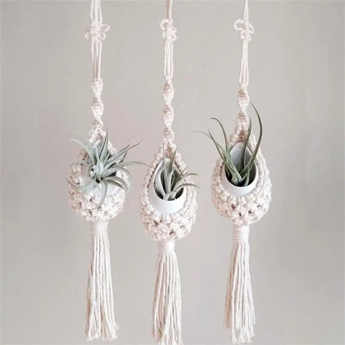support mural en macramé pour plantes aériennes style bohème