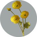 fleurs artificielles coquelicots en soie pour décorations et bouquets