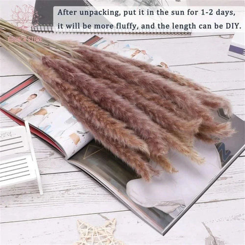 lot de 100 bouquets dherbe de pampa pour décoration bohème mariage