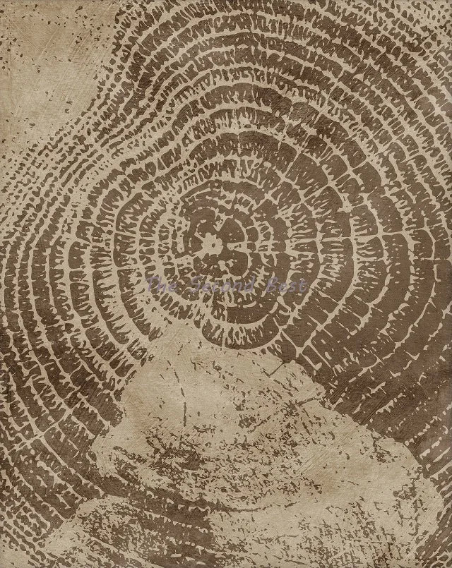 affiches abstraites sur les anneaux des arbres pour décoration intérieure