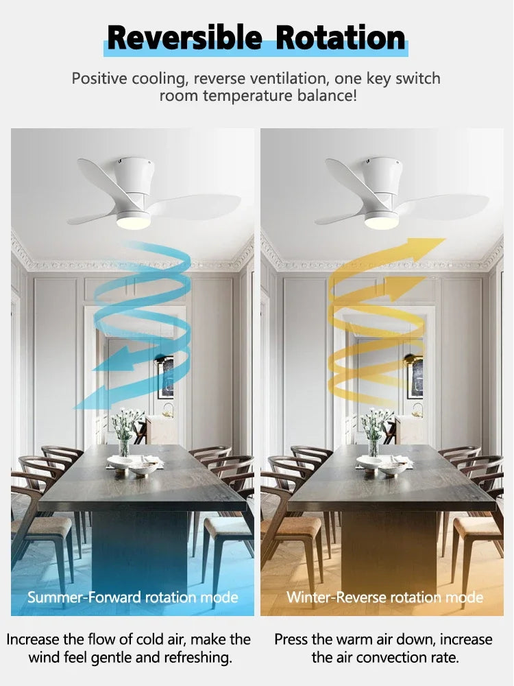 24CM Low Floor Loft Remote Control Lux&vitae Fan With Lights Modern Led Ceiling Fan Without Lights DC Motor 6 Speeds Timing Fans - vue 3 sur 11