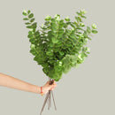 branche d'arbre d'eucalyptus en soie pour décoration intérieure