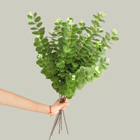 branche d'arbre d'eucalyptus en soie pour décoration intérieure