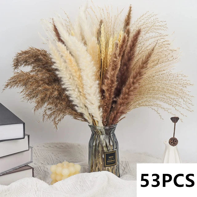 bouquet dherbe de pampa naturelle pour décoration et cadeaux - vue 12 sur 18