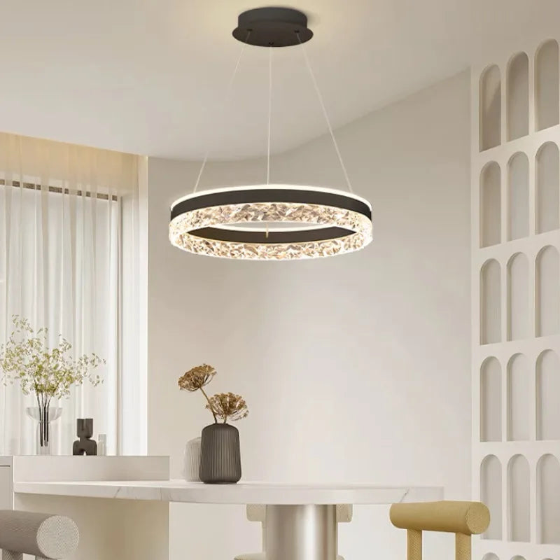 Lustre rond LED circulaire simple avec télécommande décorative - vue 6 sur 5