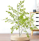 plante artificielle en bambou grande décoration pour intérieur et bureau