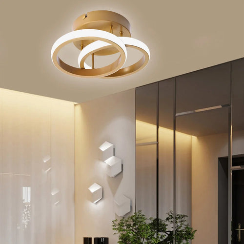 Plafonnier en métal lustre moderne haute luminosité porche lampe d'entrée lampe de plafond à économie d'énergie pour salon chambre