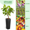 lot de 50 sacs de culture pour semis et plantation