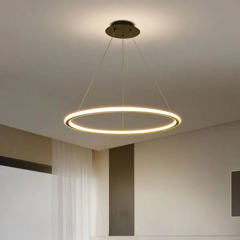 Moderne LED-Pendelleuchte für elegante Wohnraumgestaltung - vue 5 sur 22