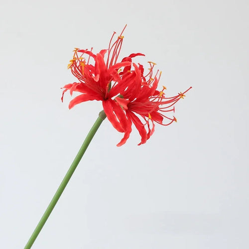 décoration en soie avec araignée lys fleurs artificielles - vue 11 sur 13