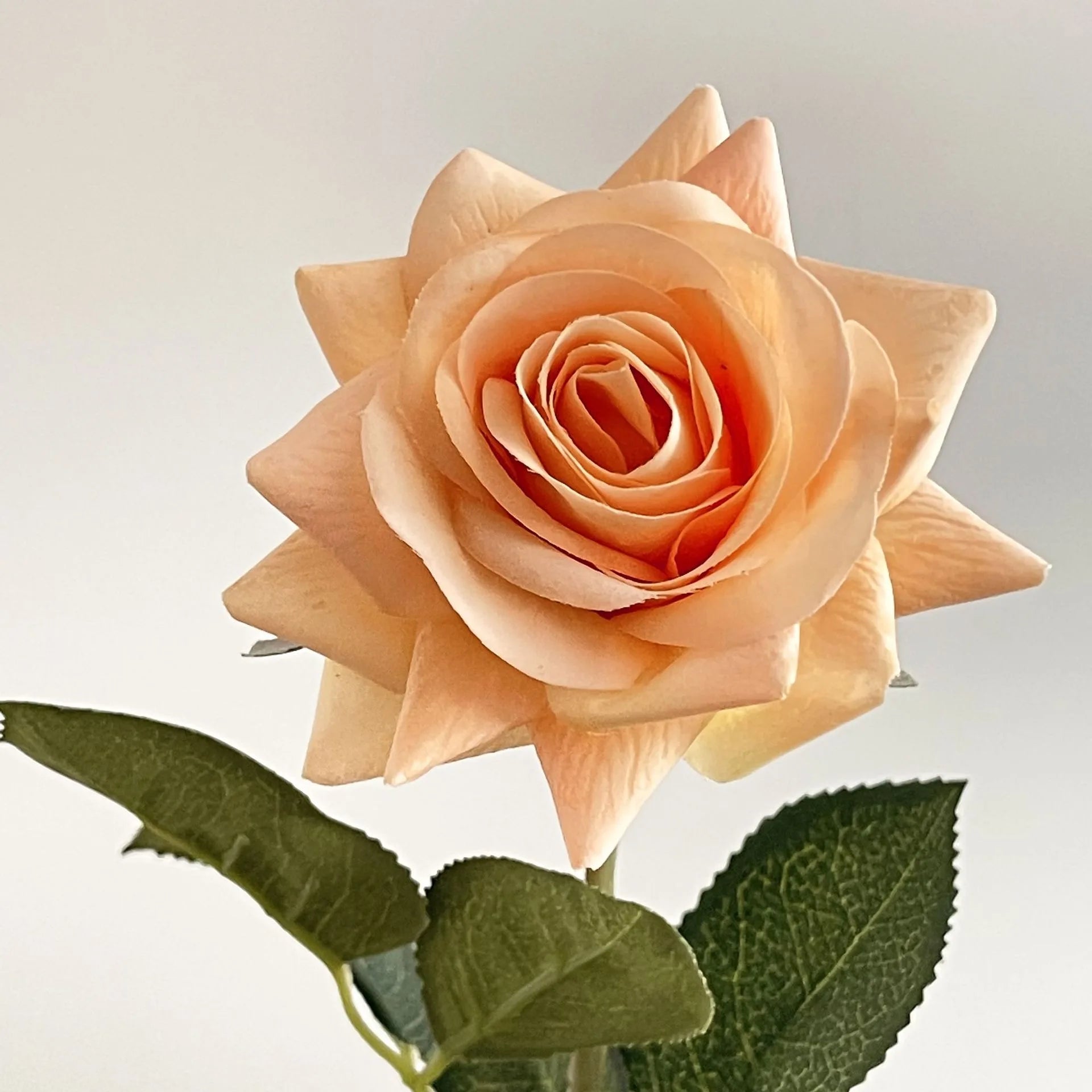 lot de 5 fleurs artificielles hydratantes pour mariage et saint-valentin - vue 13 sur 15