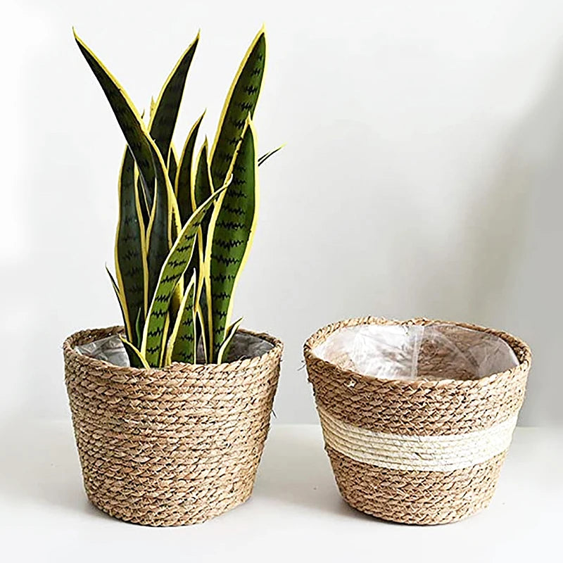 pot de fleurs tissé en seagras fait main pour plantes décoratives - vue 4 sur 8