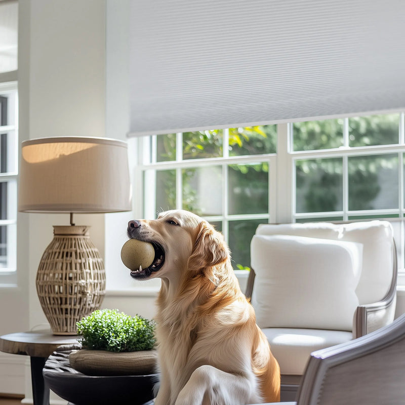 Store occultant alvéolaire sans perçage double ouverture fenêtre