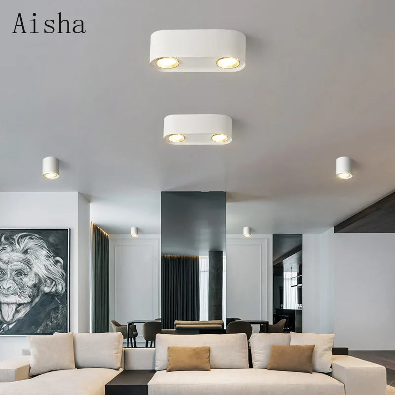 plafonnier double tête pour éclairage intérieur et extérieur - vue 4 sur 13