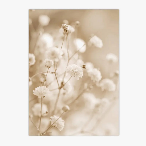 affiches-de-fleurs-s-ch-es-en-toile-pour-d-coration-murale-0.png