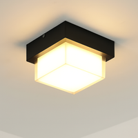 applique murale extérieure à led économique pour éclairage extérieur