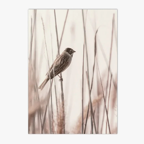 art-mural-d-coratif-nature-oiseaux-fleurs-et-sable-6.png