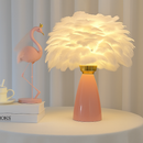Creative Nordic desk lamp, warm bedroom feather lamp, fashionable and simple study ceramic decorative lamp