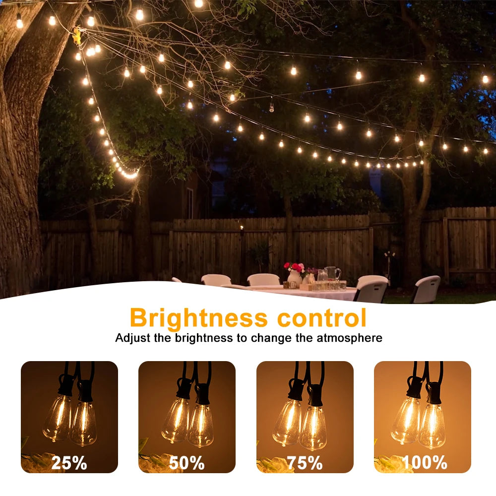 guirlande-lumineuse-ext-rieure-led-pour-jardin-et-balcon-1.png