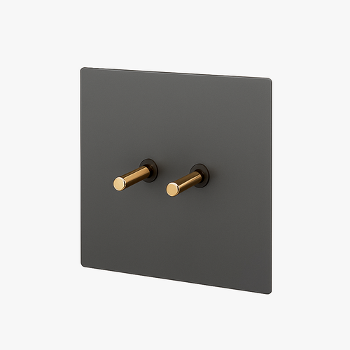 interrupteur-double-2-voies-switch-en-acier-gris-bross-et-dor-0.png