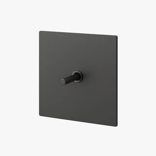 interrupteur-simple-1-voie-en-acier-gris-fonc-bross-0.png