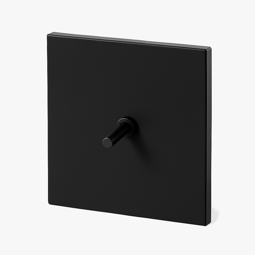 interrupteur-simple-1-voie-en-acier-noir-mat-0.png