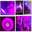 lampe-de-croissance-spectre-complet-pour-plantes-4.png