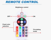 lampe de jardin led avec télécommande 16 couleurs étanche pour extérieur