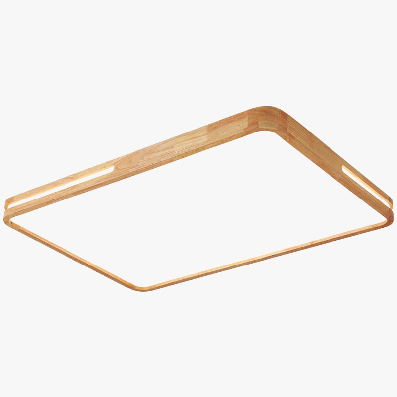 lampe-de-salon-moderne-style-b-che-plafonniers-combinaison-5.png