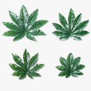 lot-de-5-plantes-artificielles-pour-d-coration-de-mariage-et-restaurant-0.png