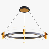 lustre led nordique anneau suspension lumière décorative