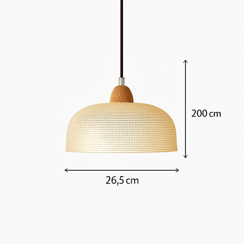 lustre-moderne-en-verre-design-pour-clairage-int-rieur-vintage-8.png