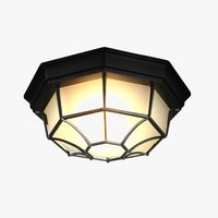 Wasserdichte LED-Deckenleuchte Außen Retro Modern Einfach