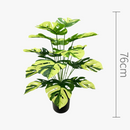 plante-artificielle-feuilles-de-tortue-pour-d-coration-int-rieure-7.png