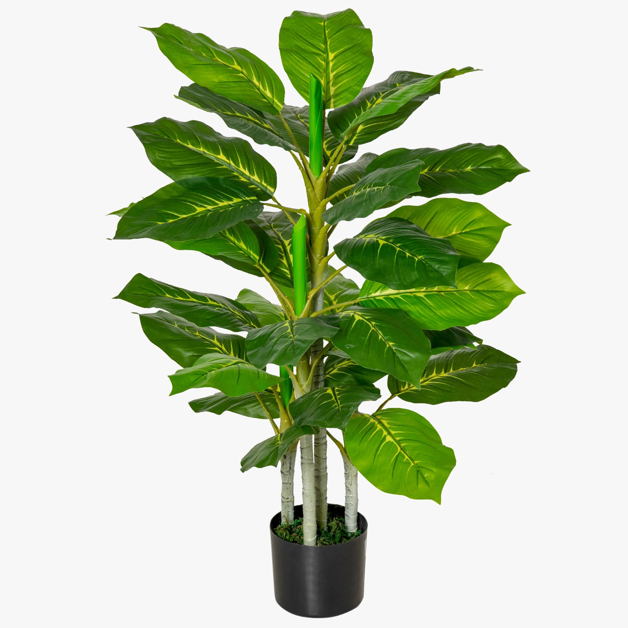 plante-vivace-artificielle-avec-pot-en-ciment-d-coratif-6.png