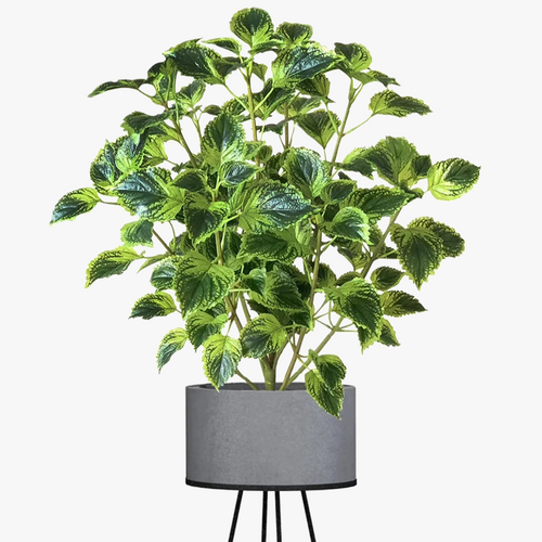 plantes-artificielles-d-eucalyptus-et-menthe-tropicale-pour-d-coration-int-rieur-0.png
