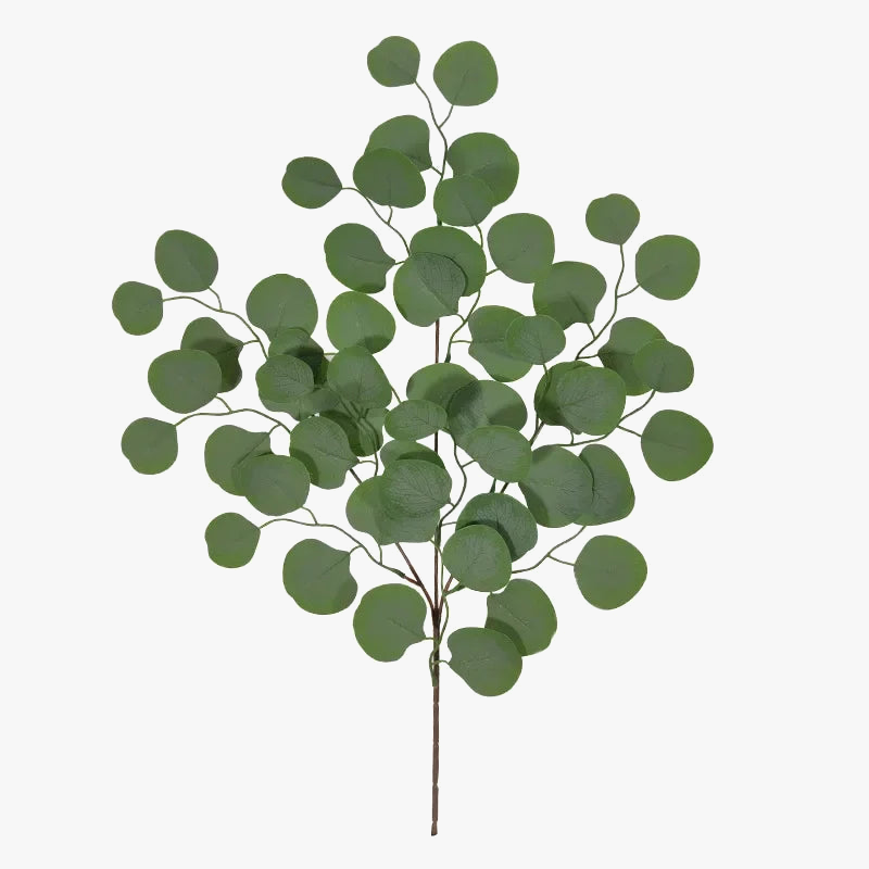 plantes artificielles eucalyptus pour décoration intérieure et photographie