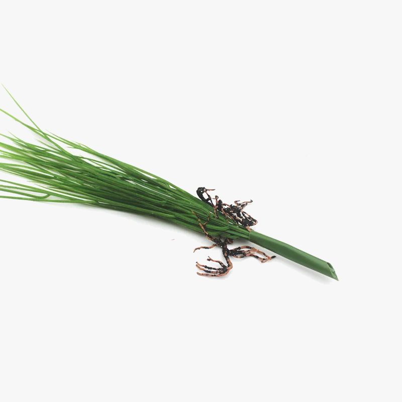 plantes artificielles pour décoration intérieure et jardin