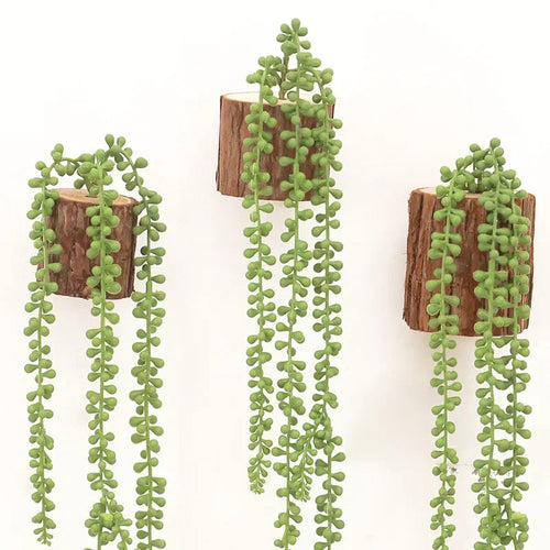 plantes-succulentes-artificielles-d-coratives-en-rotin-pour-jardin-suspendu-1.png